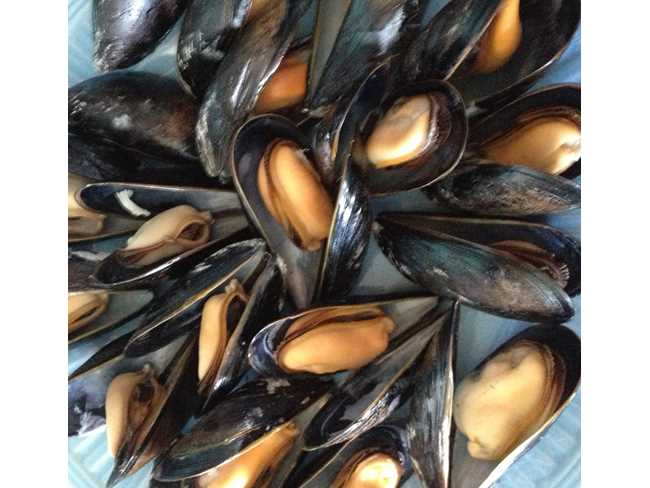  Restaurant Ready® Big One Mussels™ - 5 lb. bag